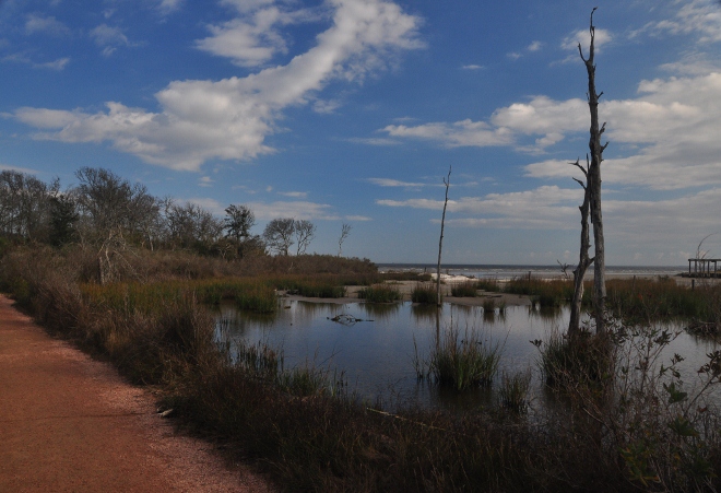 along the Pine Gully nature trail
